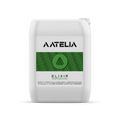 Aatelia Elixir Esipesuaine