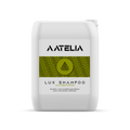 Aatelia Lux Autoshampoo
